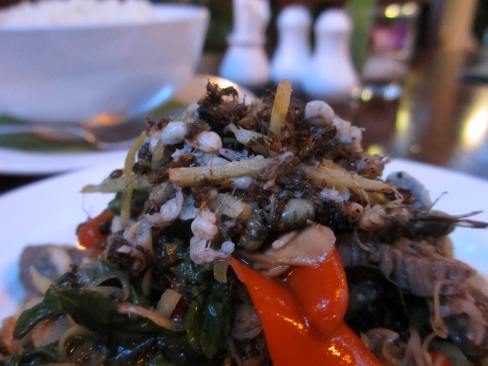 Stir Fried Red Tree Ants with Beef and Holy Basil